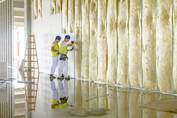 Best Insulation Repair Services  in Russell, KS